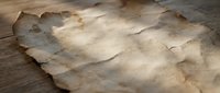 Aged parchment paper with burnt edges on wooden surface, vintage manuscript texture for historical documents, antique letters, medieval scrolls design.