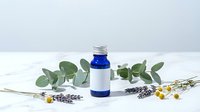 Blue essential oil bottle with eucalyptus leaves, lavender and chamomile flowers on white background for aromatherapy and natural wellness products.