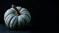 Ripe green pumpkin with textured skin and dried stem isolated on dark background, suitable for autumn harvest designs, seasonal marketing, and fall-themed projects.