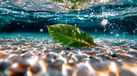 Split underwater view of green tropical leaf floating on crystal clear water surface with pebbles beneath, sunlight creating bokeh effects and bubbles.