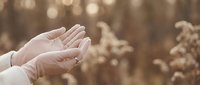 Open hands reaching upward in warm golden sunlight with soft bokeh background creating peaceful spiritual moment for meditation and prayer concepts.