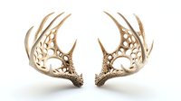 Decorative golden antler fragments with intricate filigree pattern and organic cutouts isolated on white background for jewelry design and artistic projects.