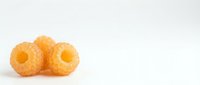 Two golden glazed donuts on white background isolated for bakery menu design and food advertising materials.