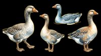 Four detailed geese in various poses, isolated on transparent background. Ready for stickers, clipart, print on demand, sublimation, and t-shirt design use.