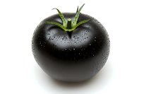 Black tomato with water droplets isolated on white background, fresh exotic dark vegetable with green stem, organic food concept.