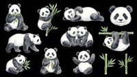 Watercolor panda bear clipart set with bamboo, isolated on transparent background. Cute pandas in various poses for stickers, t-shirt design, print on demand, and sublimation.