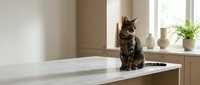 Tabby cat sitting on a marble kitchen counter in a bright modern home interior with neutral tones and natural window light.
