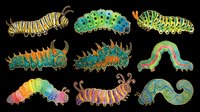 Colorful caterpillar illustrations isolated on transparent background, ready for clipart, t-shirt design, stickers, print-on-demand products, and sublimation projects.