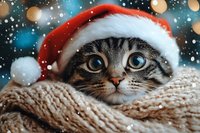 Adorable tabby cat wearing Santa hat and wrapped in cozy knit scarf against snowy winter background with bokeh lights and falling snowflakes.