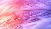 Delicate feather macro with gradient color transition from soft coral pink to purple, creating dreamy ethereal texture for romantic and feminine designs.