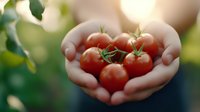 Fresh ripe cherry tomatoes held gently in cupped hands against blurred garden background, organic harvest concept for healthy eating and sustainable farming.