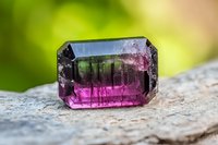 Bi-color watermelon tourmaline crystal with pink and green hues on natural stone background showcases unique mineral formation and gem cutting in macro photography.