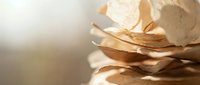 Delicate paper flower petals in warm golden light creating soft romantic atmosphere for wedding invitations greeting cards and feminine design projects.
