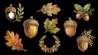 Autumn acorns and oak leaves clipart set, isolated on transparent background. Fall harvest elements for stickers, t-shirt design, print on demand, and sublimation.