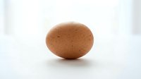 Single brown chicken egg with speckled shell isolated on white background, suitable for food, nutrition, cooking, and culinary design projects.