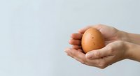 Close-up of hands holding a brown egg against white background, isolated for design use on packaging, cooking websites, farm products, nutrition education, and culinary content.