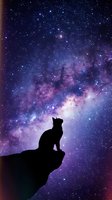 Cat silhouette sitting on cliff edge against vibrant purple galaxy starry night sky with cosmic nebula clouds and bright stars for dreamy space backgrounds.