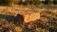 Weathered red brick lying on dry grass field during golden hour sunset light creating warm atmospheric rural countryside scene for construction renovation projects.