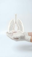 Medical professional hand in white glove holding transparent lung anatomy model for healthcare education and respiratory system study.