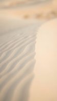 Soft golden sand dunes with wind-carved ripple patterns creating natural texture in warm desert landscape during golden hour lighting.