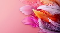 Delicate feathers in pink, orange and purple hues arranged artistically on pink background create soft, dreamy composition for romantic and feminine designs.