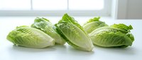 Fresh romaine lettuce hearts arranged on clean white surface near bright window, perfect for healthy cooking and salad preparation in modern kitchen.