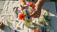 Male hands arranging fresh wildflowers in glass vase on linen cloth with scissors nearby. Florist or gardener creating colorful bouquet with red, purple, and yellow blooms for home decoration or event styling.