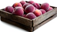 Fresh ripe peaches with fuzzy skin in rustic wooden crate on white background, selective focus. Food photography for farm market and harvest concept.