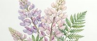 Watercolor lupine flowers in purple and pink shades with green foliage on white background. Botanical illustration for spring garden designs and floral decor.