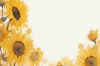 Bright yellow sunflowers create a natural border frame on cream background, watercolor style botanical illustration with soft edges and delicate floral details.