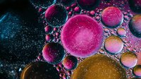 Vibrant pink and golden oil bubbles floating on dark water surface create mesmerizing macro photography pattern with colorful abstract circles and droplets.
