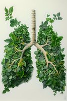 Creative concept of human lungs made from green leaves and branches, symbolizing environmental health and clean air. Perfect for healthcare, ecology and wellness projects.
