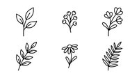 Young plant sprout and wildflower botanical line art icons isolated on white background, ready for web design, app interface, and graphic projects.