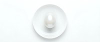 White chicken egg placed in center of clean white ceramic bowl on white background for cooking and kitchen design concepts.