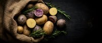 Fresh organic potatoes spilling from burlap sack with rosemary herbs on dark wooden background for cooking and farm-to-table cuisine concepts.