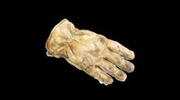 Skeletal hand anatomy model isolated on transparent background, ready for medical education, scientific illustration, clipart, print-on-demand products, and design projects.