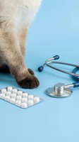 Cat paw with medical stethoscope and medication pills on blue background. Veterinary care and pet health concept for animal clinics and healthcare services.