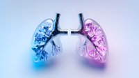 Glass-like human lungs illuminated in contrasting blue and pink neon colors against light background, showing detailed bronchial structure and anatomical design for medical concept.