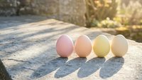 Four pastel colored eggs in pink yellow and cream tones arranged in row on rustic wooden surface with warm sunlight creating soft shadows for Easter spring decor.