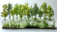 Small green trees growing in connected glass containers filled with water, creating natural laboratory environment effect for botanical research and growth studies.