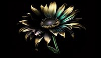 Golden daisy flower with metallic petals and dark center isolated on black background, suitable for floral design projects and botanical artwork.