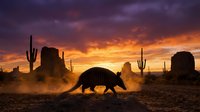 Armadillo silhouette walking across desert landscape at dramatic sunset with saguaro cacti and rock formations in background creating southwestern scene.