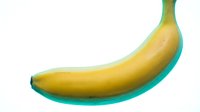 Ripe yellow banana with turquoise shadow isolated on white background, ready for food and nutrition design projects, packaging, and culinary content.