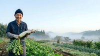 Mature Asian male farmer holding fresh vegetables in agricultural field with misty mountains and green crops in background during harvest season.