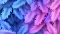 Soft fluffy feathers in gradient blue and pink colors create dreamy abstract pattern background, gentle overlapping plumes with delicate texture.