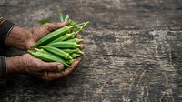 Fresh green beans held in weathered hands against rustic wooden surface, representing organic farming, harvest, and sustainable agriculture for food and cooking projects.