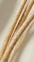 Natural bamboo stalks with detailed texture and segments in warm golden tones for zen decor and sustainable design projects.