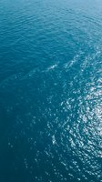 Sparkling turquoise ocean water surface with sunlight reflections and gentle ripples creating natural texture patterns for marine and summer backgrounds.