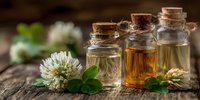 Essential oils in glass bottles with cork stoppers on rustic wooden surface, surrounded by fresh clover flowers and green leaves.