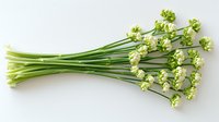 Fresh green chives with delicate white flower buds arranged in bunch on light background, culinary herbs and edible flowers for cooking and garnish.